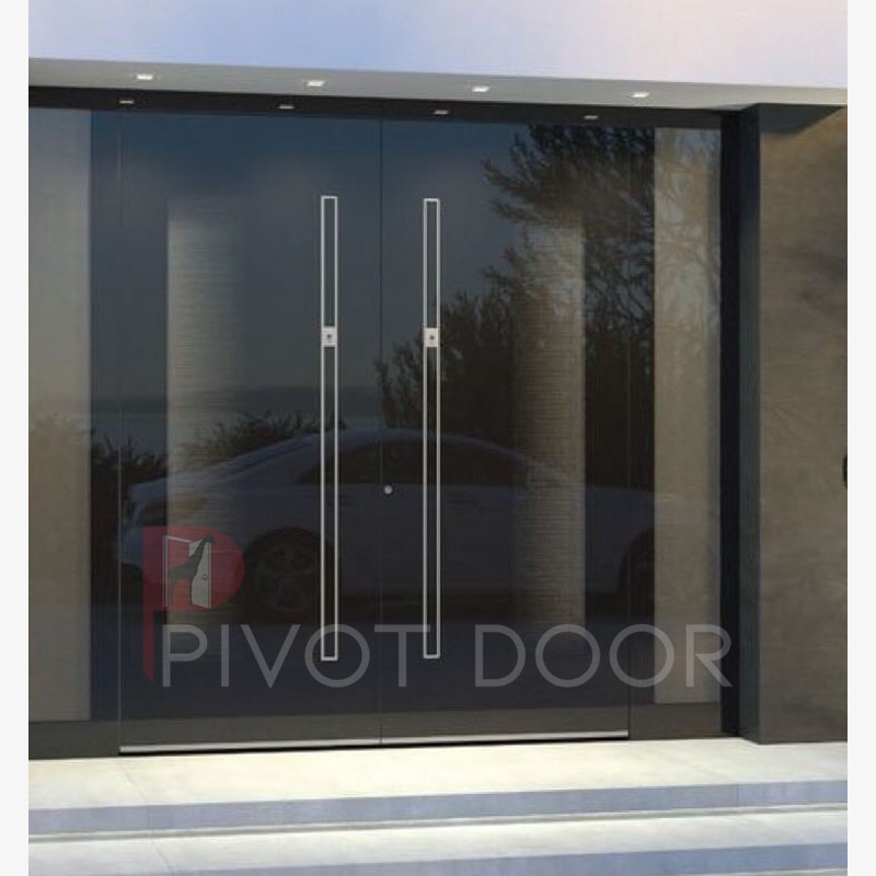 PVT 195 Pivot Door