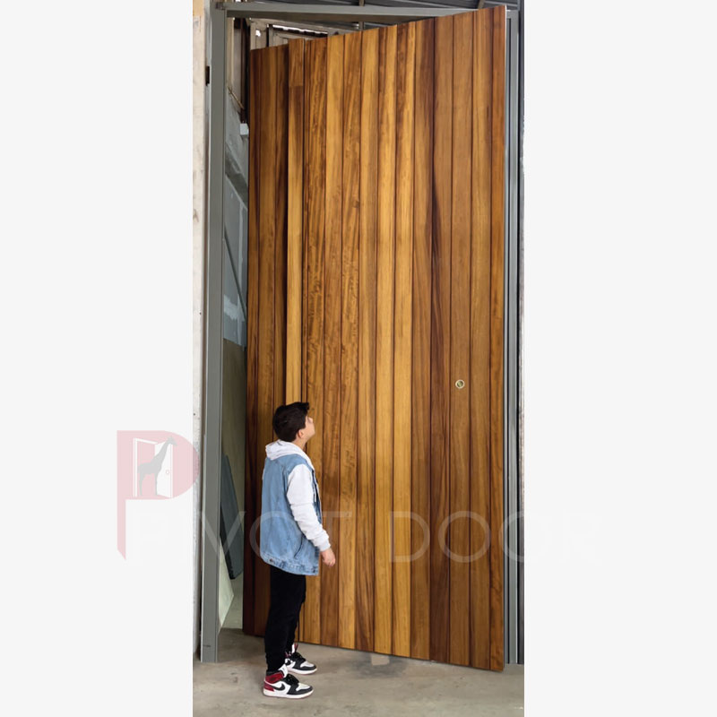 PVT 120 Pivot Door