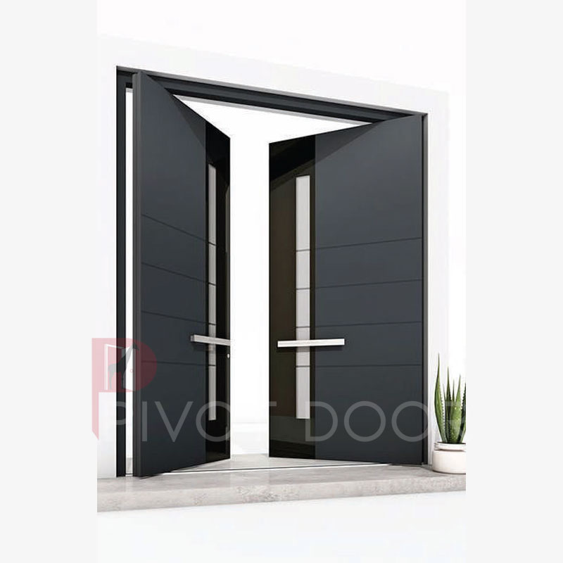 PVT 216 Pivot Door